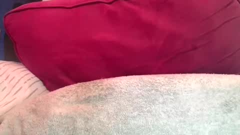 daddyy008 online show from 10, 9, 2025