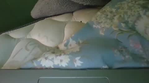 daisnconfusion_ online show from 6, 3, 2025