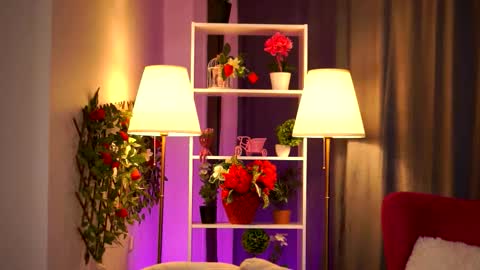 Daisy online show from 16, 3, 2026