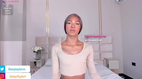 Daisy online show from 17, 11, 2025