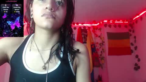 Dakko online show from 17, 1, 2026