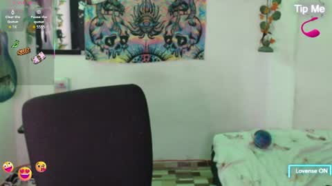 Dakko online show from 1, 7, 2026