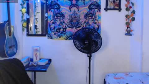 Dakko online show from 2, 7, 2026