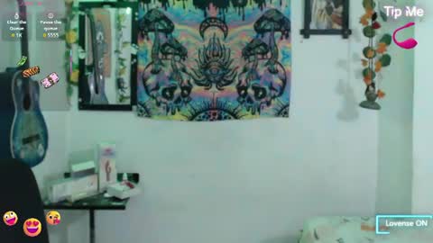 Dakko online show from 8, 7, 2026
