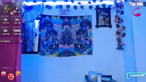 Dakko online show from 13, 7, 2026