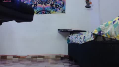 Dakko online show from 22, 7, 2026