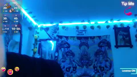 Dakko online show from 31, 7, 2026