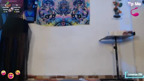 Dakko online show from 1, 8, 2026