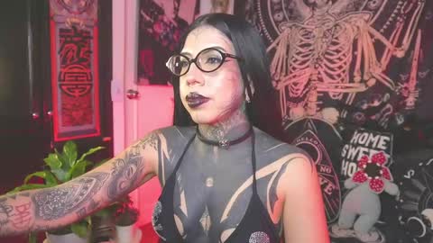 dalia_vorhees online show from 3, 6, 2026