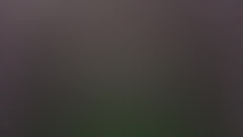 dallasjmg online show from 25, 2, 2026