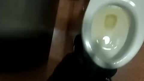 Snapshot of damian950 chatting on 12, 4, 2026 damian950 online show from 12, 4, 2026