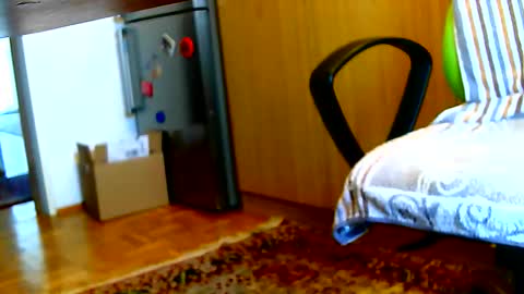 Dammerl online show from 3, 2, 2025