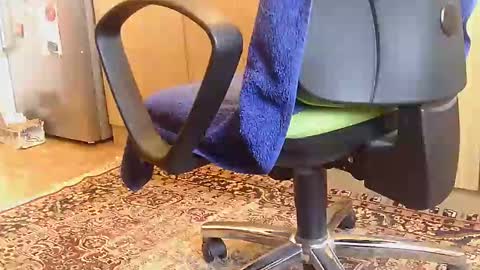 Dammerl online show from 18, 2, 2025