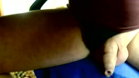 Dammerl online show from 11, 1, 2026