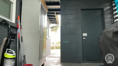 Clyde online show from 9, 11, 2025