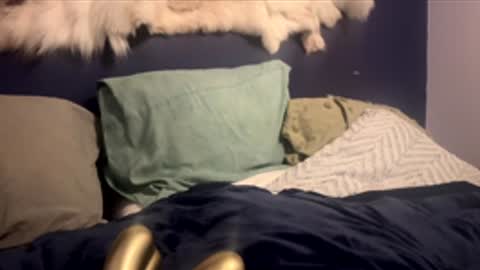 damontsi online show from 24, 2, 2026