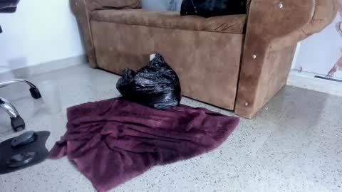 Danaa Rey online show from 5, 2, 2025