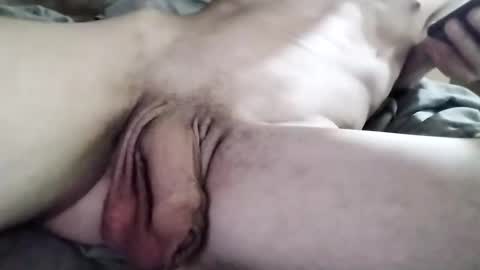 Snapshot of danicrss8 chatting on 6, 3, 2026 danicrss8 online show from 6, 3, 2026