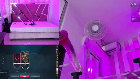 Dani online show from 28, 7, 2026