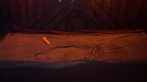 danielareign online show from 20, 12, 2025