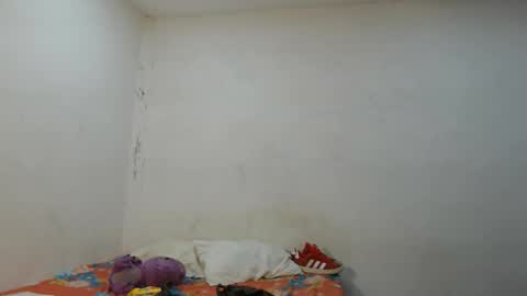 danielitopapii online show from 12, 11, 2025