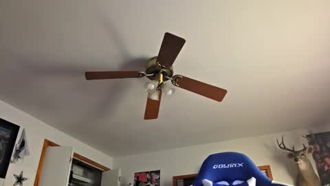 Snapshot of danielp_mod_cb chatting on 22, 10, 2025 Daniel    y. online show from 22, 10, 2025