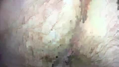 dankz4two0 online show from 21, 12, 2024