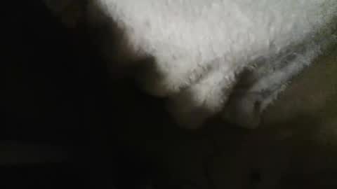 Danielle online show from 30, 10, 2025