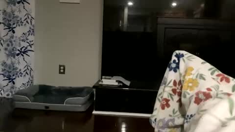 dannyboy621 online show from 17, 10, 2025