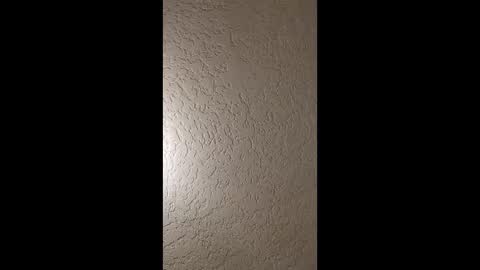 dano9696 online show from 19, 1, 2026