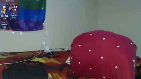 dante_bear online show from 6, 3, 2025