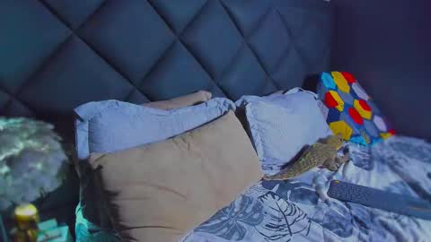 Dany online show from 17, 1, 2026