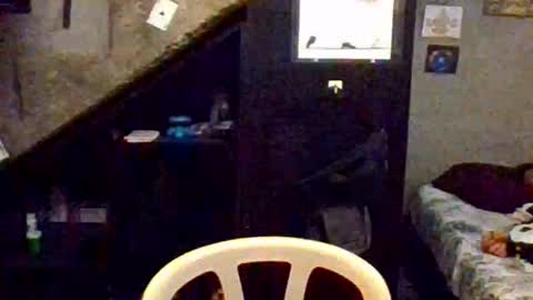 dany_kyng online show from 15, 2, 2026