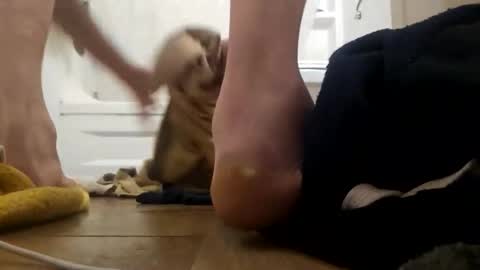 Snapshot of danydevil chatting on 25, 11, 2025 danydevil online show from 25, 11, 2025