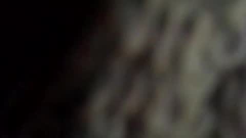 Snapshot of danys69 chatting on 11, 10, 2025 danys69 online show from 11, 10, 2025