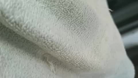 Snapshot of dapppper chatting on 4, 3, 2026 dapppper online show from 4, 3, 2026