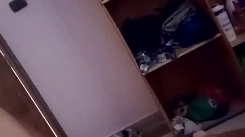 dario1127 online show from 13, 10, 2025