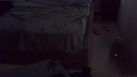 darishechka online show from 15, 11, 2025