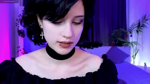 Vamp  online show from 25, 12, 2024