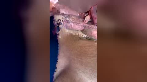 darklight69s25 online show from 12, 4, 2026