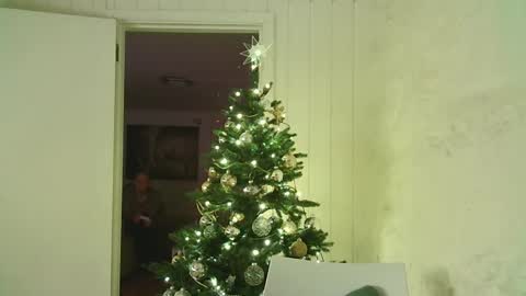 Dario online show from 3, 1, 2025