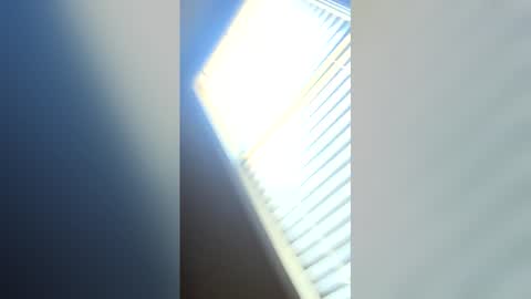 Datbull online show from 10, 5, 2026
