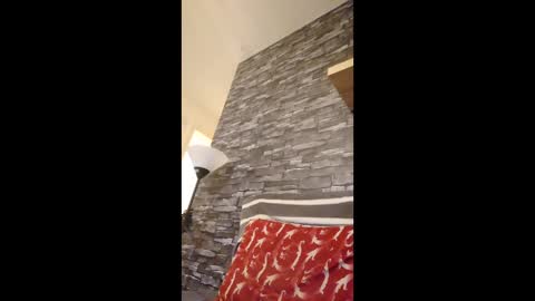 dave72303991 online show from 27, 2, 2026