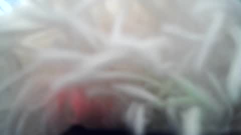 daverz3 online show from 4, 3, 2026