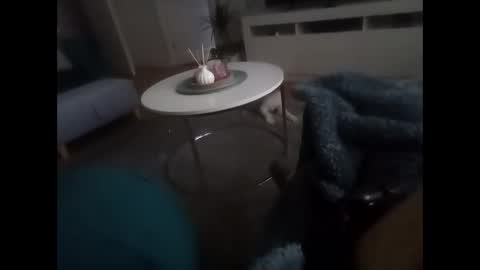 Snapshot of davf76 chatting on 19, 2, 2026 davf76 online show from 19, 2, 2026