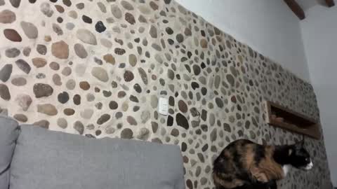 David online show from 1, 10, 2025