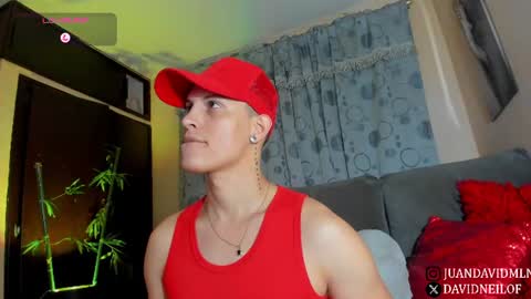 David Neill online show from 16, 7, 2026