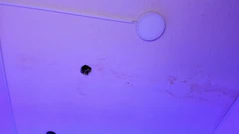 dayana_harlow2 online show from 15, 1, 2025