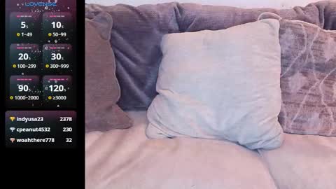 Dazeddesty  online show from 13, 2, 2026