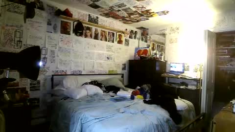 Snapshot of dbeamon92 chatting on 8, 3, 2026 dbeamon92 online show from 8, 3, 2026